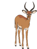Gif animé gazelle marron